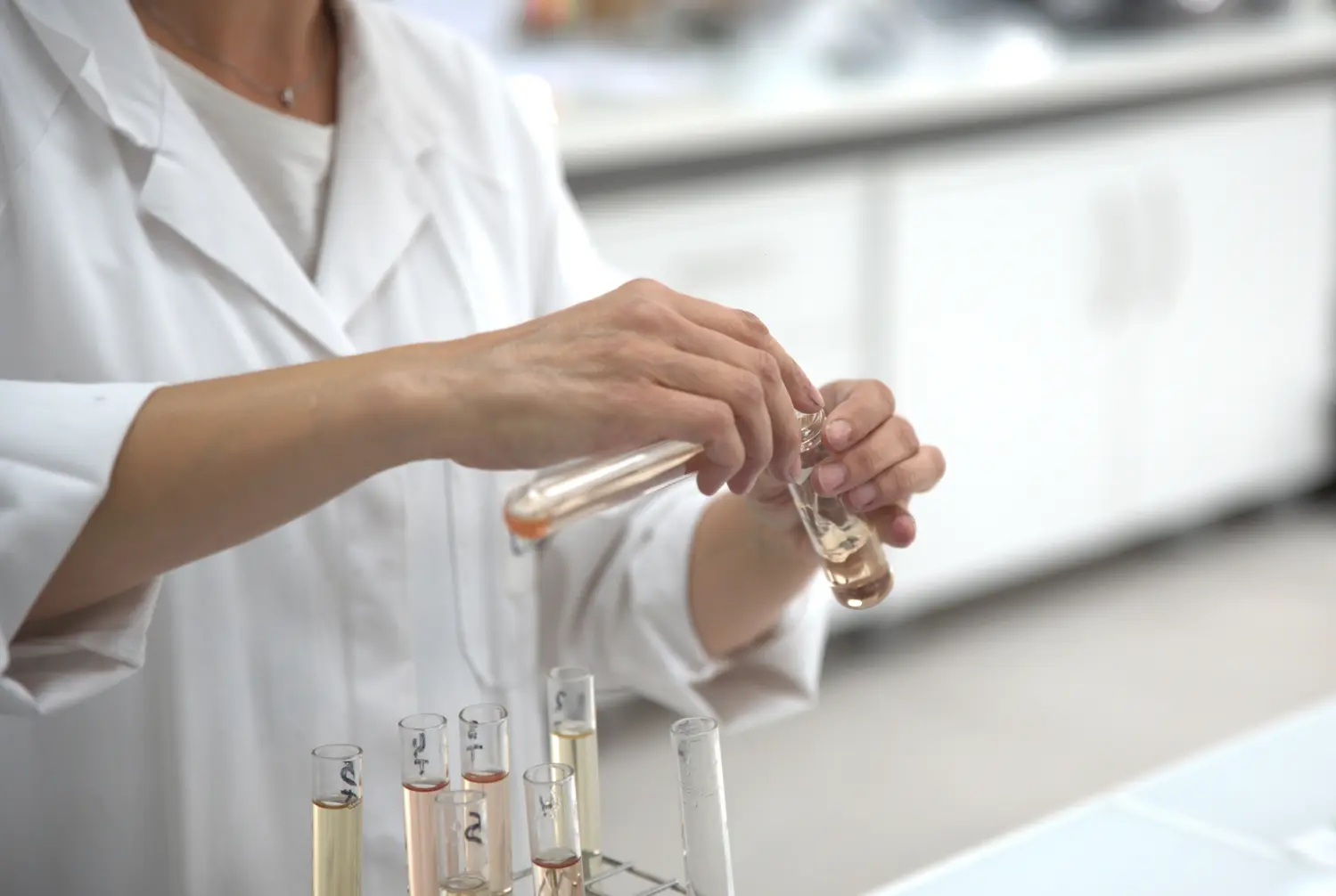 Suivi de vinification de la parcelle à la fin de la fermentation - Image d'illustration