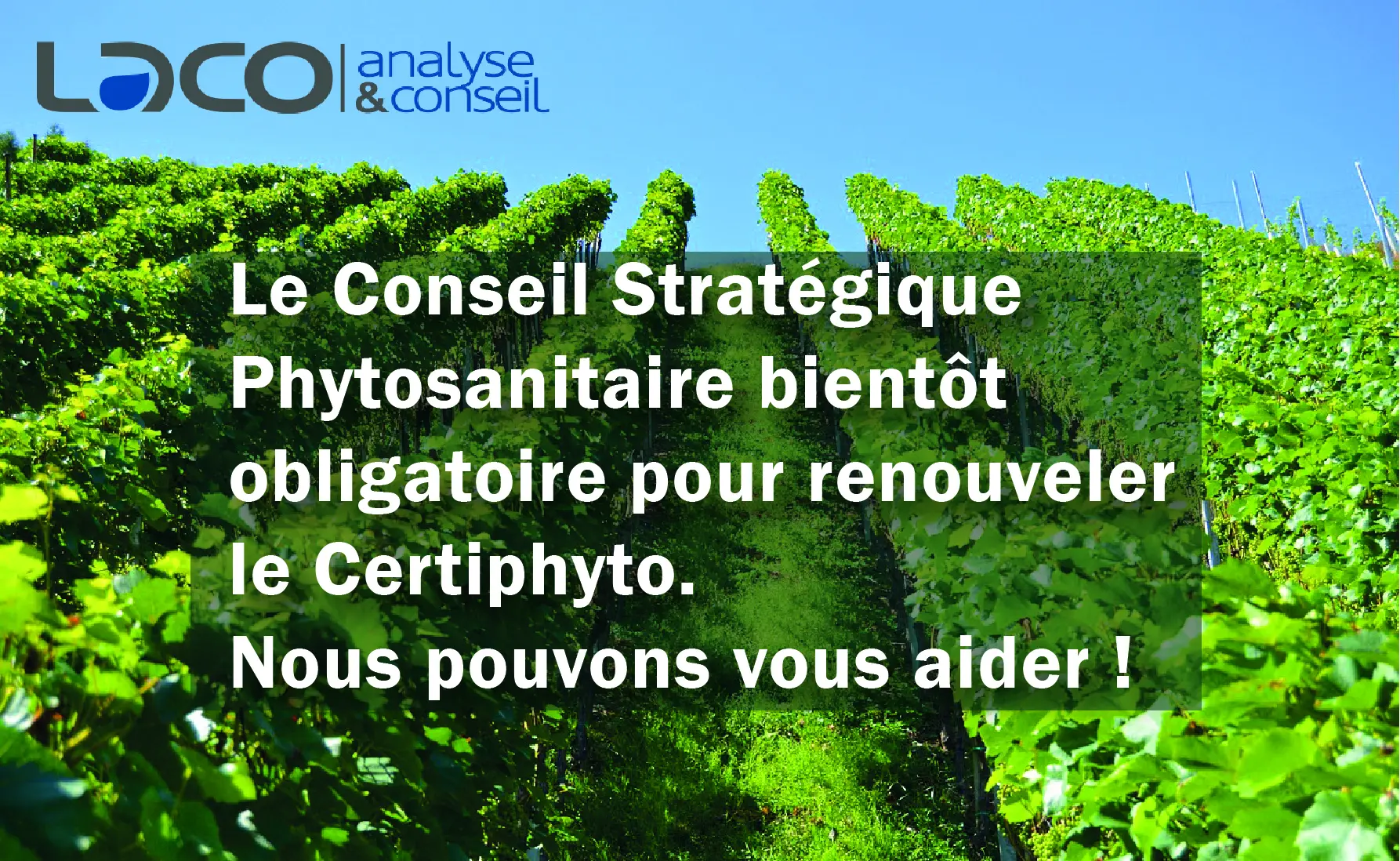 NOUVEAU SERVICE : le Conseil Phytosanitaire Stratégique