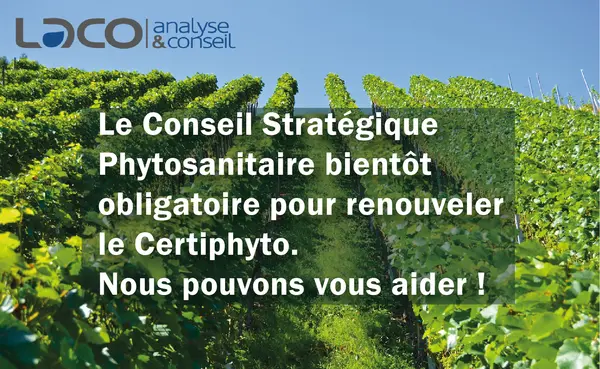 NOUVEAU SERVICE : le Conseil Phytosanitaire Stratégique